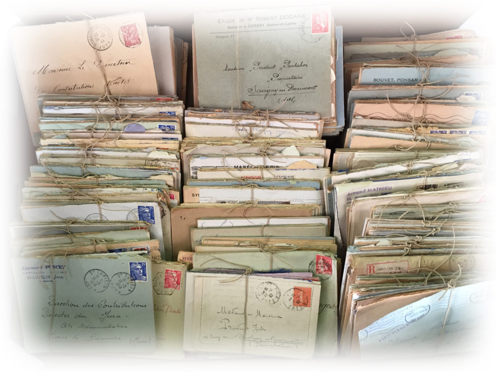 Scribo - Scrittura Bolognese - newsletter