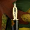 Foglia nib