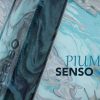 SENSO-banner