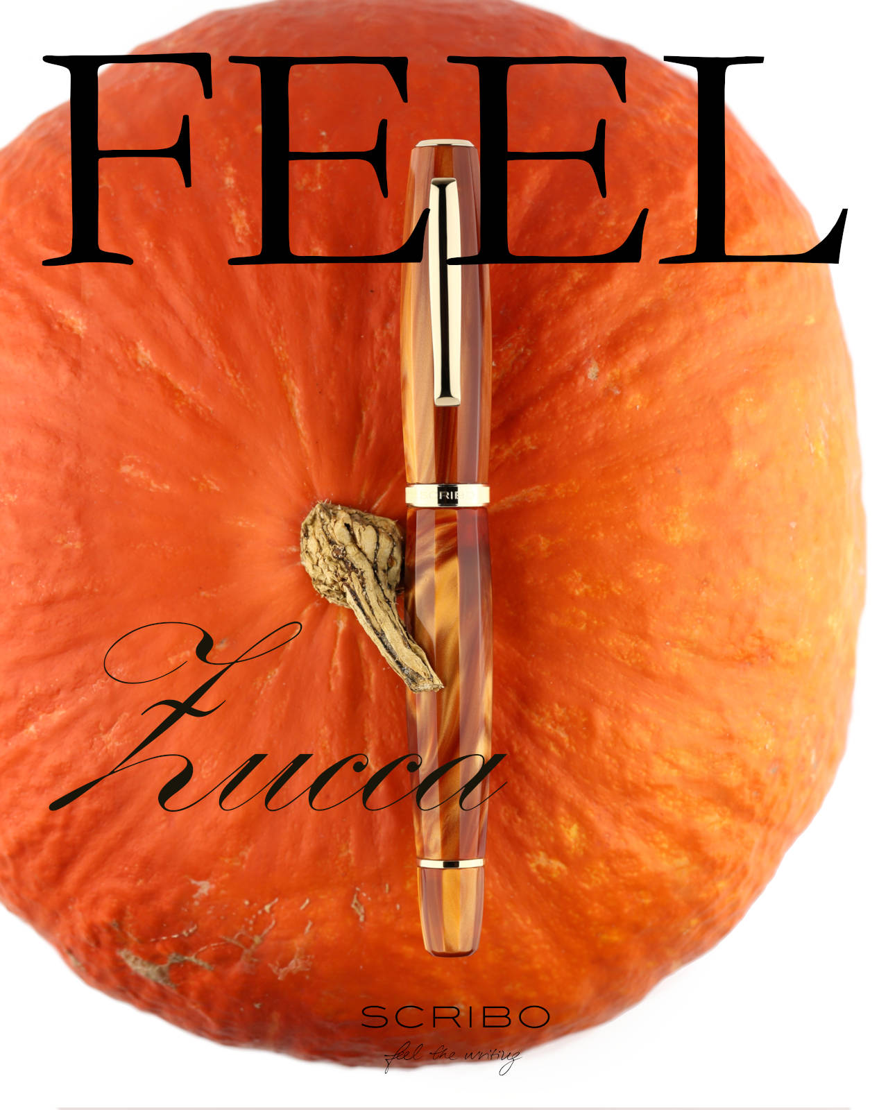 Zucca-vertical-NEW