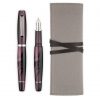 viola-with-pouch